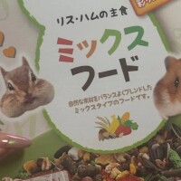 まさかの🤭