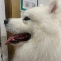 おはようございます🍩