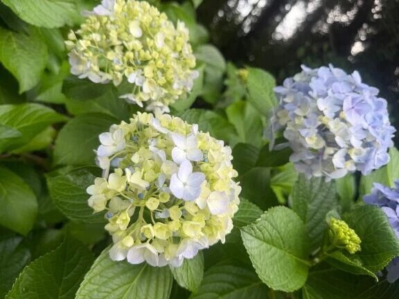 💛今日もありがとう( ᴖ⩊ᴖ )