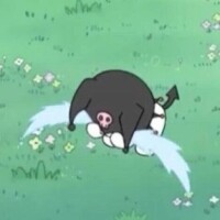 しくしく😿