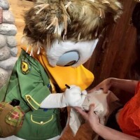 おはようございます🐧