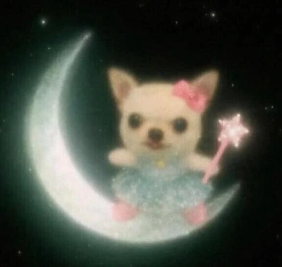 ⭐️