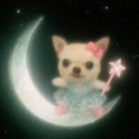 ⭐️