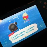夢中すぎて💧
