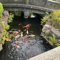 9〜23:30です🦭
