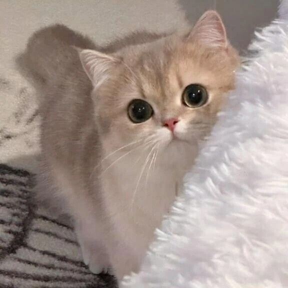 到着♡