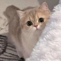 到着♡