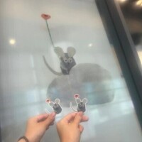 こんばんは📸