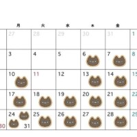 8月の出勤予定表𖧷 ⁺.