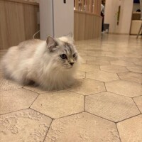 10〜23:30です🧸🎀