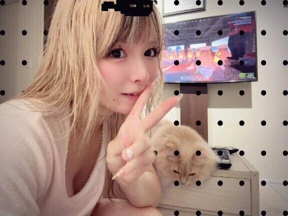 11.14.15日