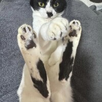 本日は大雨の中ありがとうございましたm(*_ _)m