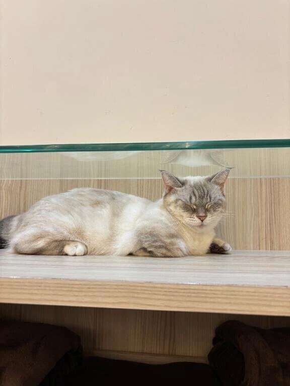 出勤だ〜👶🏻