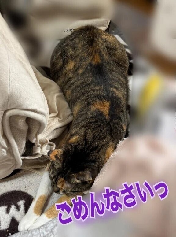 本日お休みですっごめんなさいっ
