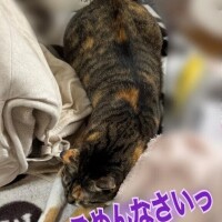 本日お休みですっごめんなさいっ