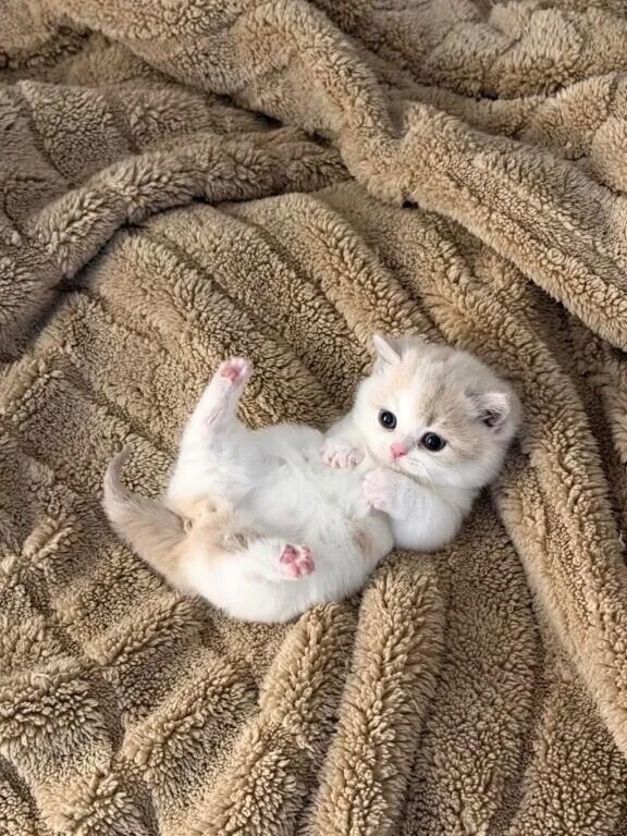 お待ちしてます🤍