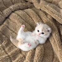 お待ちしてます🤍
