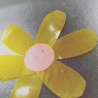 🌷🐇