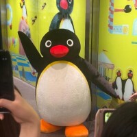 来週の予定！