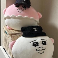 今日から✨