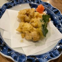 うまうま