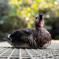 本日11-16で出勤です✨