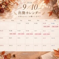 今週と来週📅