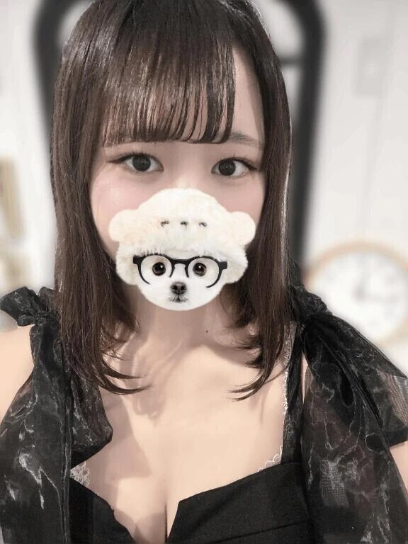 出勤🐰