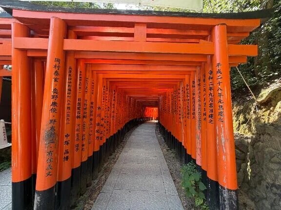 🦊〜