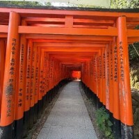 🦊〜