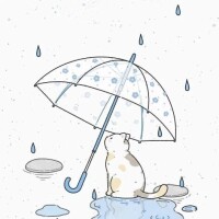 雨の月曜日と台風接近中……🌀