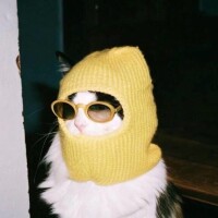 おはよう