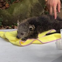 本日12-22で出勤です✨