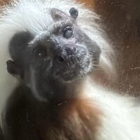 本日12-22時で出勤です✨