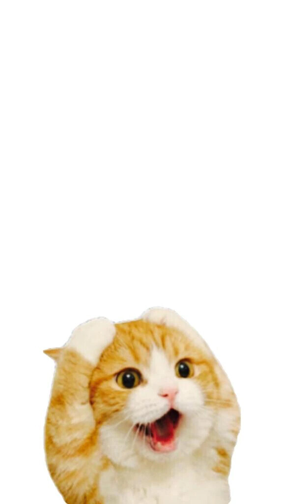 出勤します