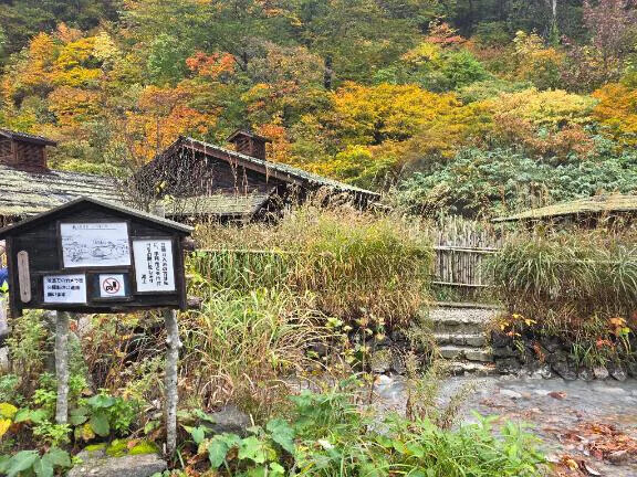 本日12-22時で出勤です✨