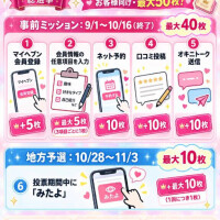 投票は10票お願いします！