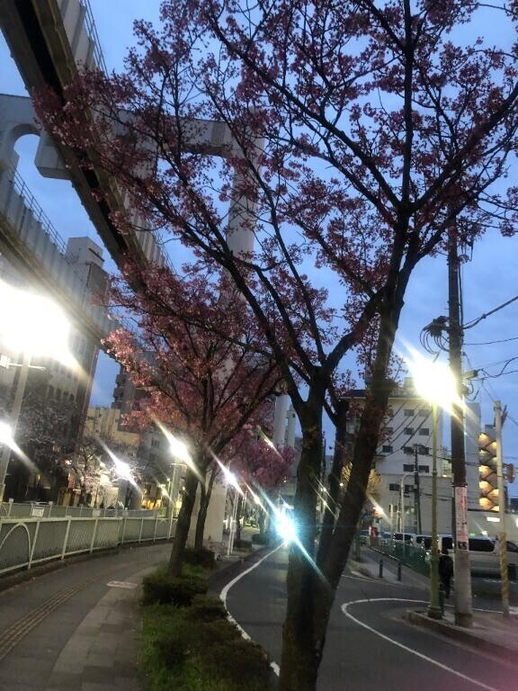 ?輝いてました?