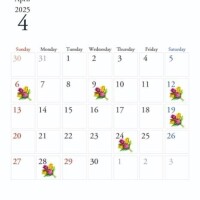 4月中旬の予定??