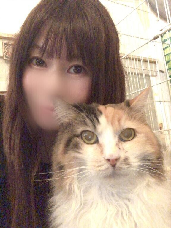 ?キラキラ舞い降りる?