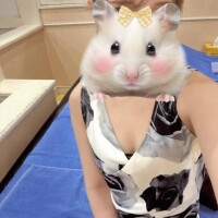 こんにちわ??