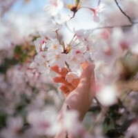 春の陽だまり見つけました?