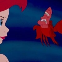 向かってます??