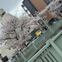 みてみて～(?･ ･?)