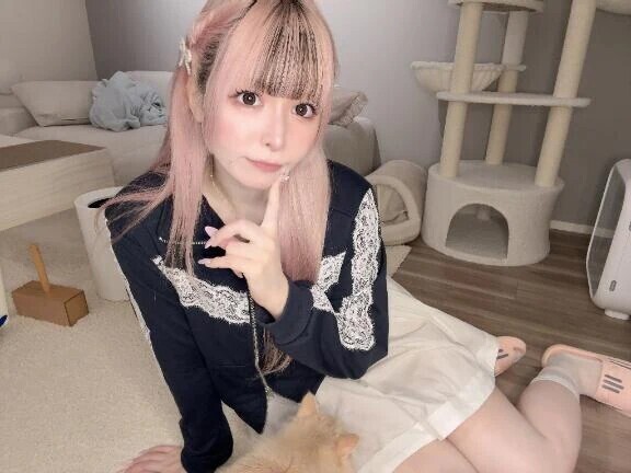 おはう🐰