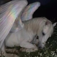 鳳あかり