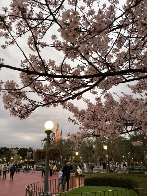 🩶シフト出てます📅☑️🩶