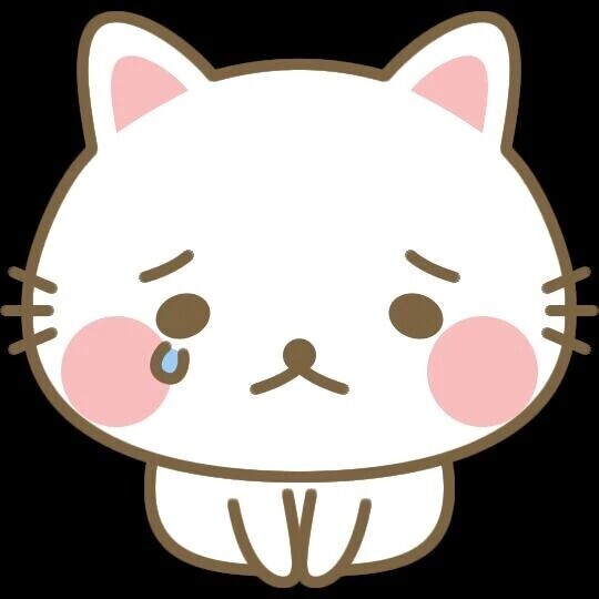 続けてすみません😭