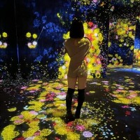 こんにちは☆