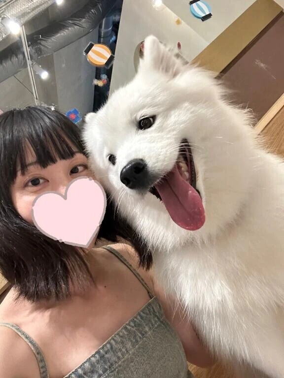 こんばんは☆